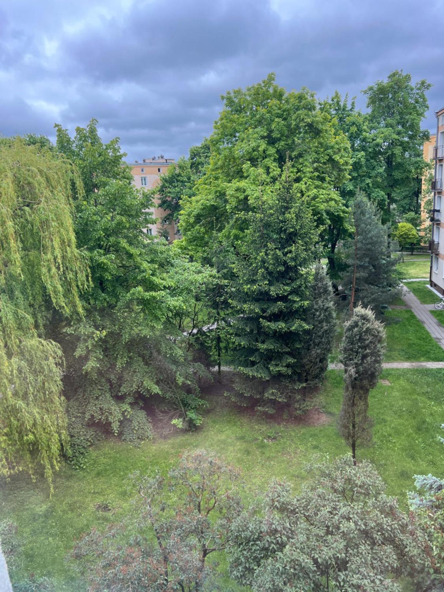 Zielona Ochota Appartamento