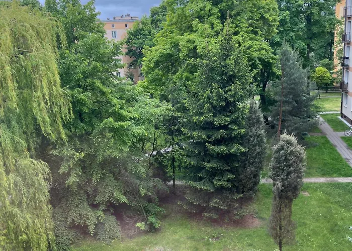 Zielona Ochota